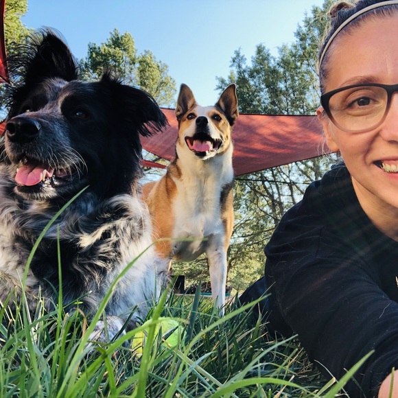 Meet your Posher, Van - Picture 4 of 11